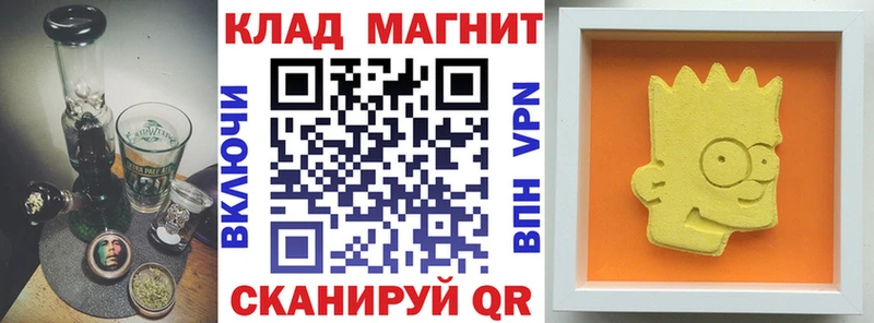 Где купить Пошехонье ГАШИШ COCAIN АМФЕТАМИН Бошки Шишки Героин Alpha-PVP Меф мяу мяу Codein Псилоцибиновые грибы