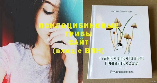 крисы Навашино