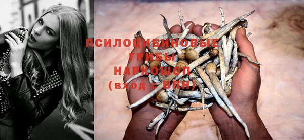 эйфоретик Надым