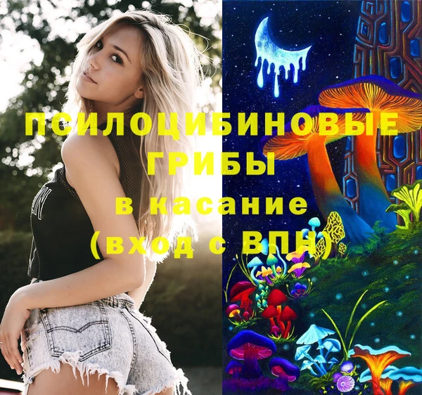 ГАЛЛЮЦИНОГЕННЫЕ ГРИБЫ Михайловск