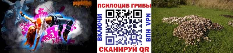 Галлюциногенные грибы MAGIC MUSHROOMS  продажа наркотиков  Пошехонье 