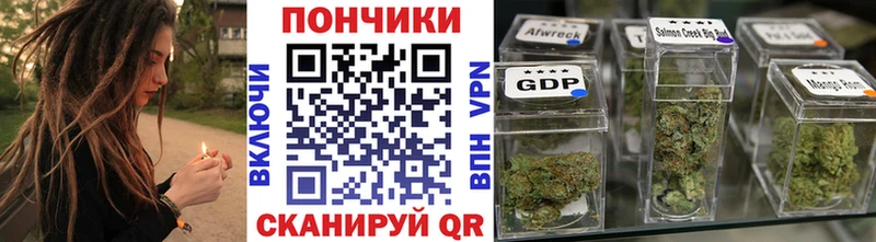 Бошки Шишки гибрид  Пошехонье 